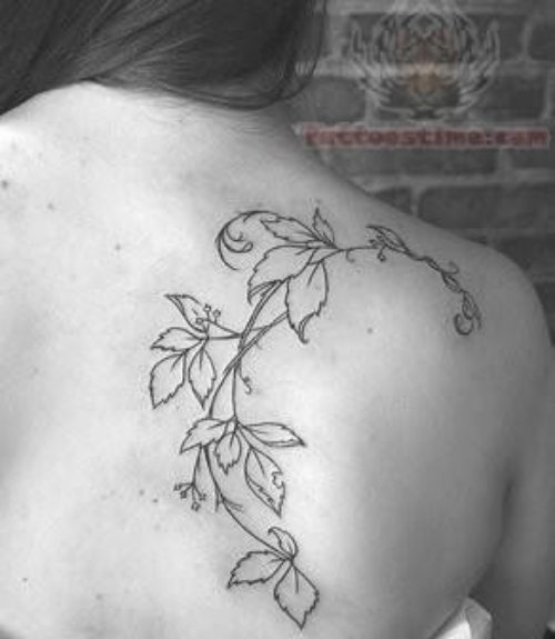 Vine Plant Tattoo On Back
