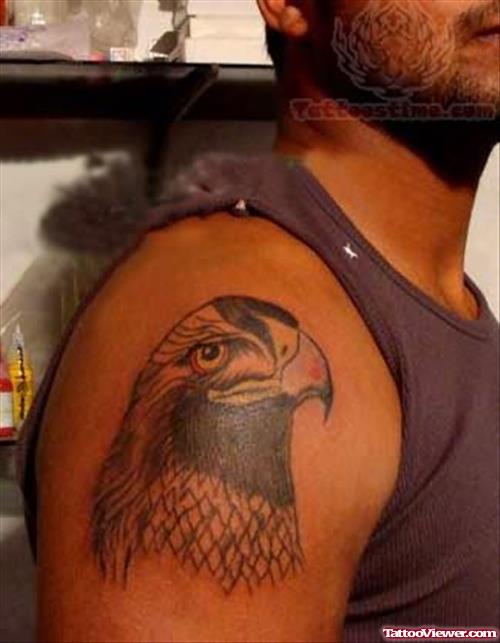 Hawk - Punjabi Bird Tattoo