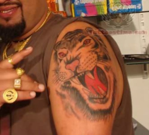 Angry Tiger - Punjabi Tattoo