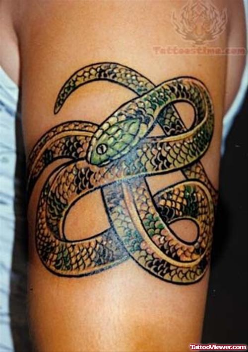Long Snake - Reptile Tattoo