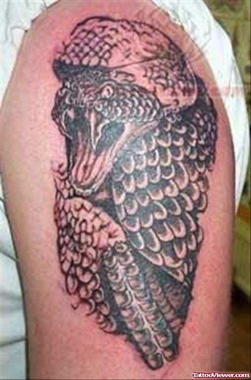 Black Reptile Tattoo On Biceps