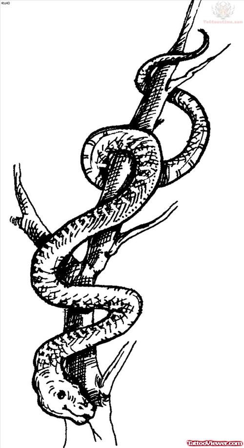 Reptile Snake Pattern