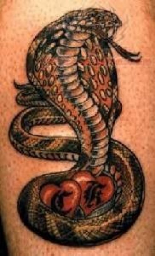Black Snake Tattoo