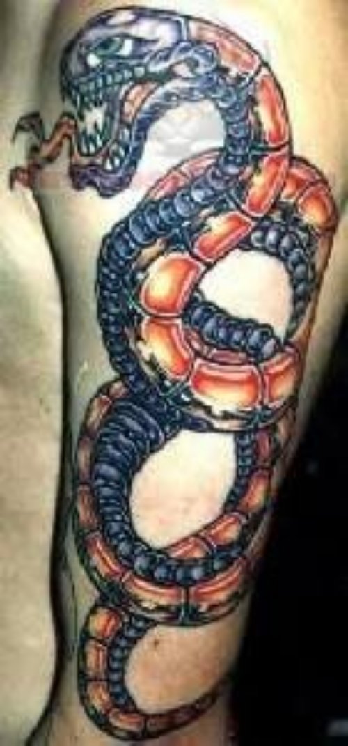 Blue Reptile Tattoo