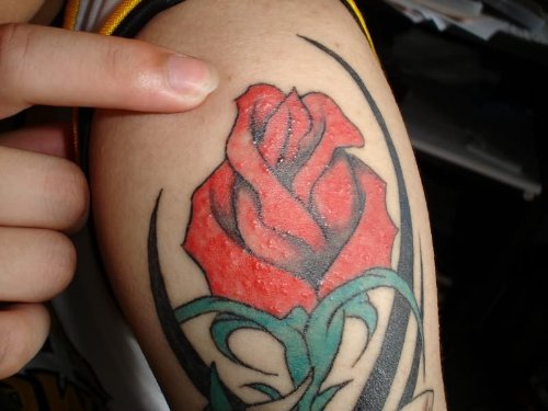 Rose Tattoo Design For women