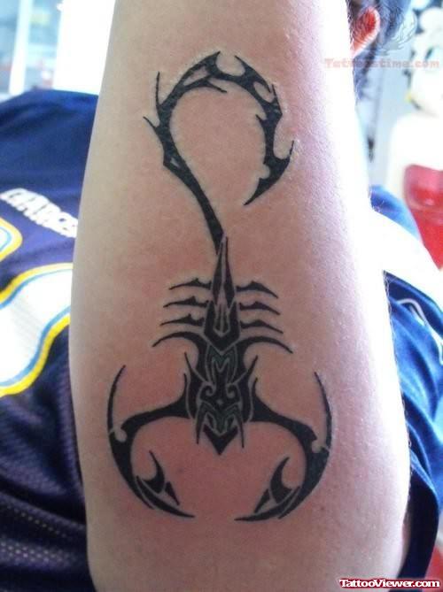 Scorpio - Zodiac Tattoo On Arm