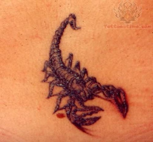 Zodiac Tattoo - Scorpio