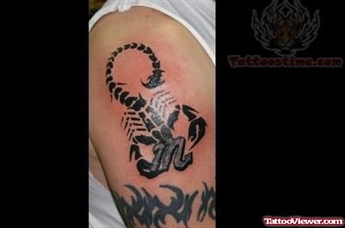 Scorpion Tattoo On Sleeve