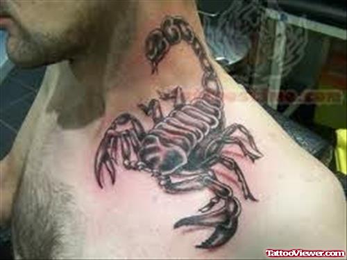 Big Scorpion Tattoo