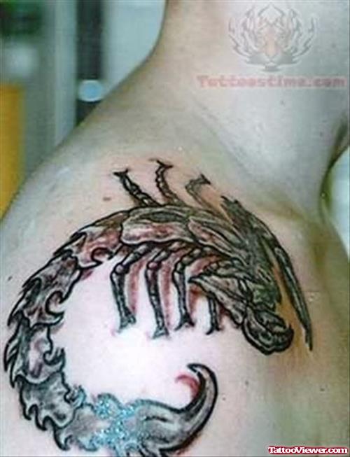 Big Scorpion Shoulder Tattoos