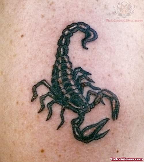 Elegant Scorpion Black ink Tattoo