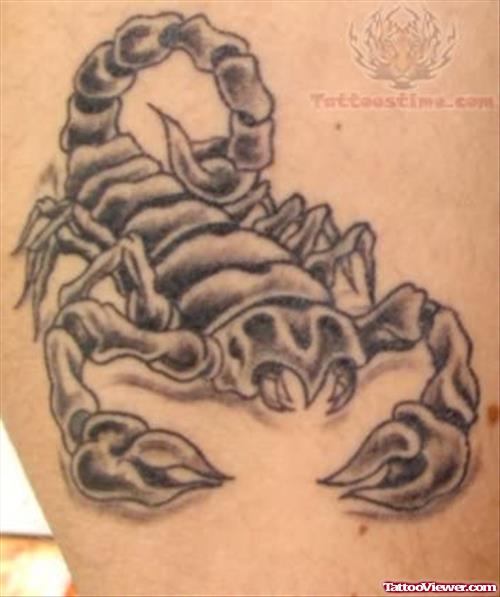 Scorpion Tattoo Images