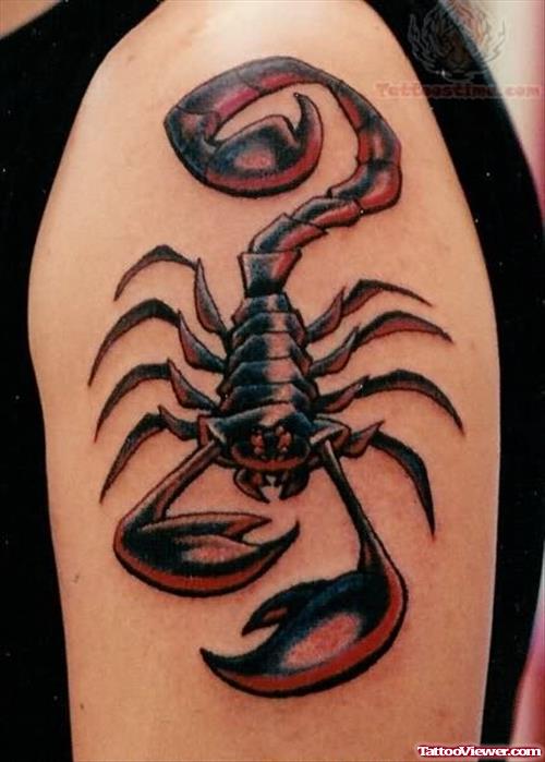 Scorpion Tattoos On Shoulder