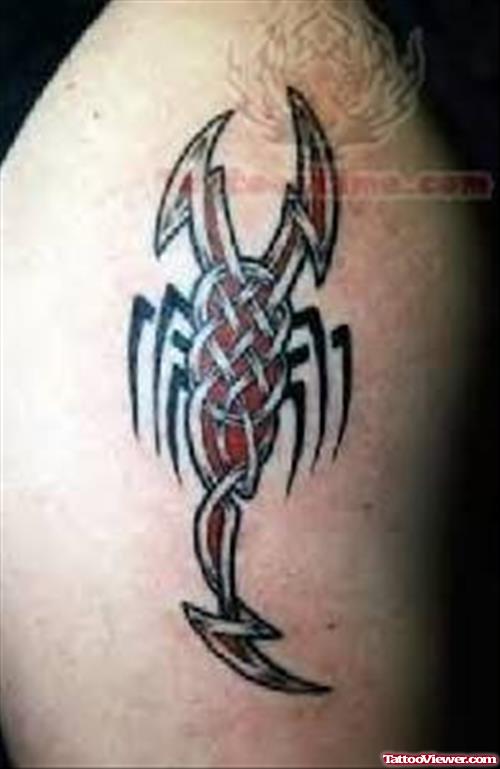 Tribal Scorpion Tattoos On Shoulder