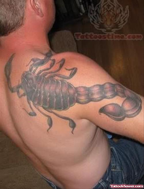 Large Scorpion Tattoo On Shoulder