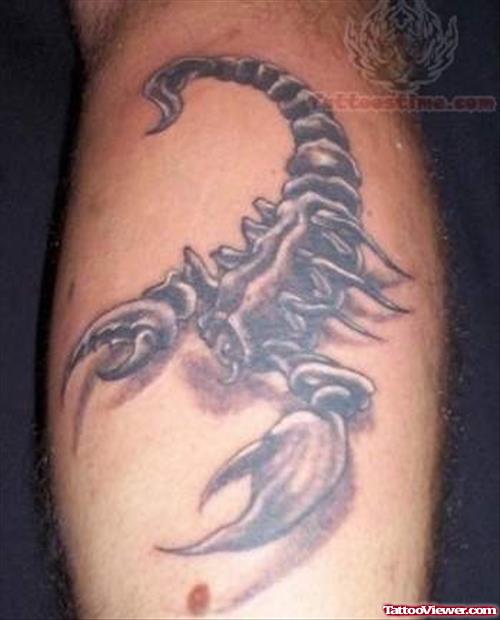 Scorpion Tattoo For Arm