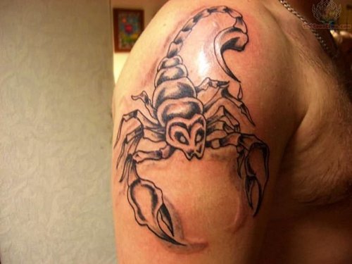 Best Scorpion Tattoo For Shoulder