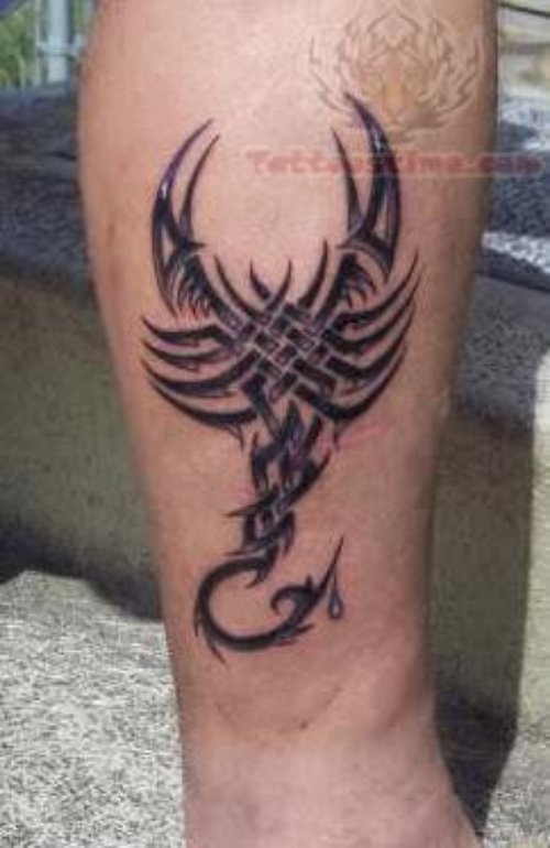 Tribal Scorpion Tattoo On Leg