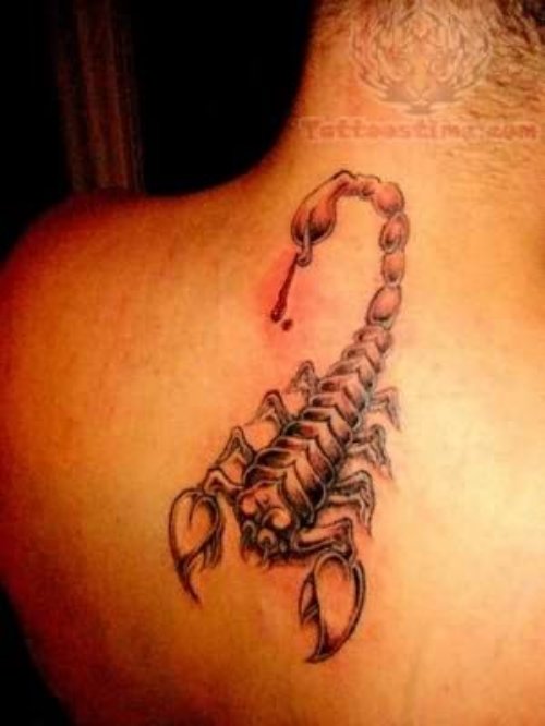 Back Body Scorpion Tattoos