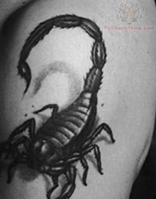 Black Scorpion Tattoo Design