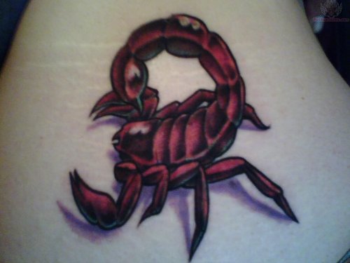 Best Small Red Scorpion Tattoo