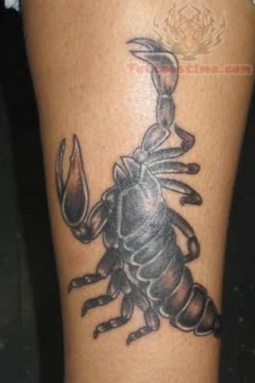 Scorpion Cool Tattoo