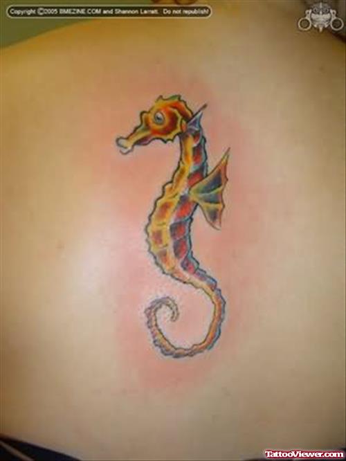 Sea Horse Tattoo On Upper Back