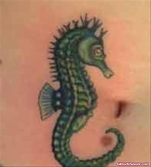 Sea Horse Tattoo On Stomach