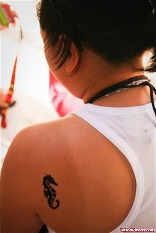 Seahorse Tattoo On Back Shoulders