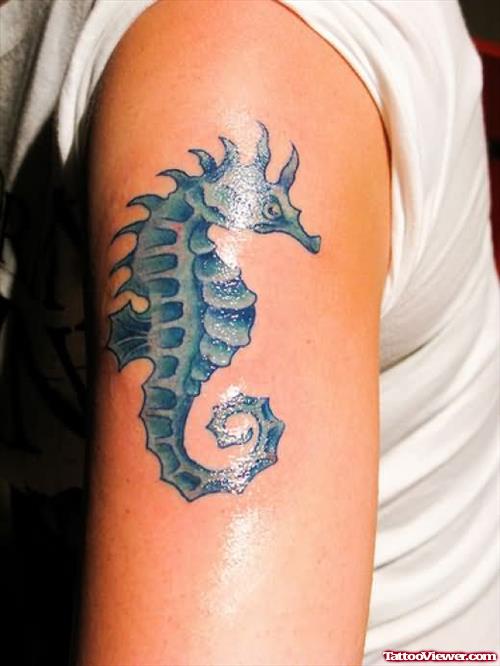 Sea Horse Tattoo Photo