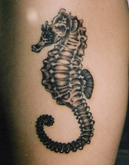 Sea Horse Black Ink Tattoo