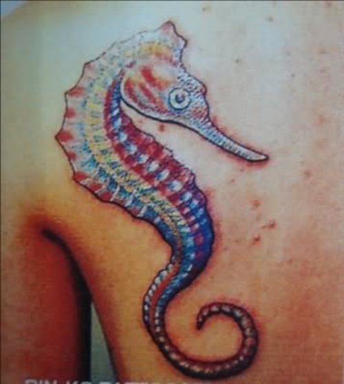 Colourful Seahorse Tattoo On Back