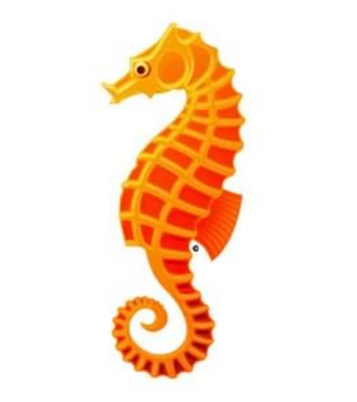 Orange Seahorse Tattoo Sample