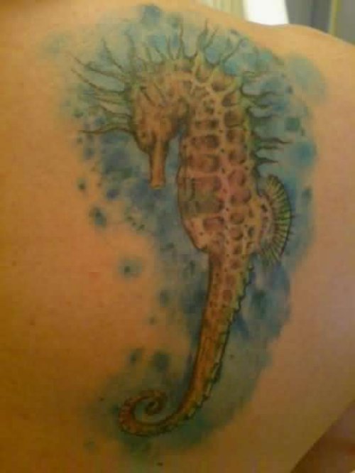 Sea Horse Back Shoulder Tattoo