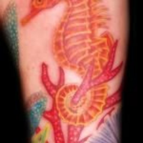 Wonderful Seahorse Tattoo