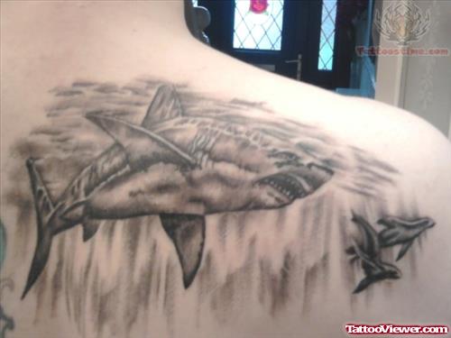 Shark Grey Ink Tattoo On Back Shoulder