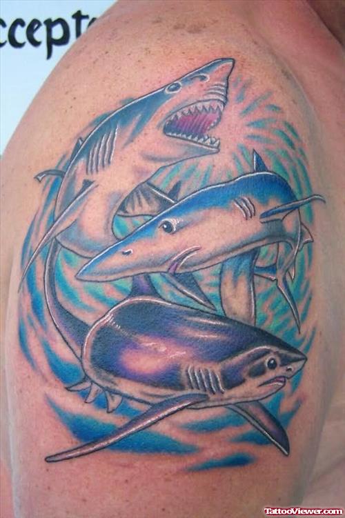 Angry Sharks Tattoos on Shoulder
