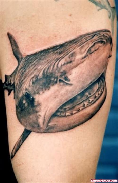 Shark Tattoo By Tattoostime