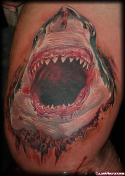 Brandons Shark Tattoo