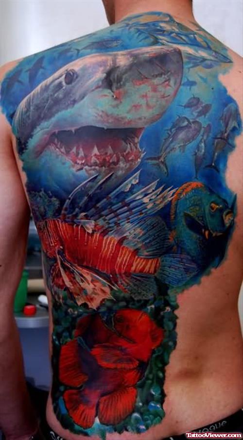 Beautiful Coloured Shark tattoo On Back