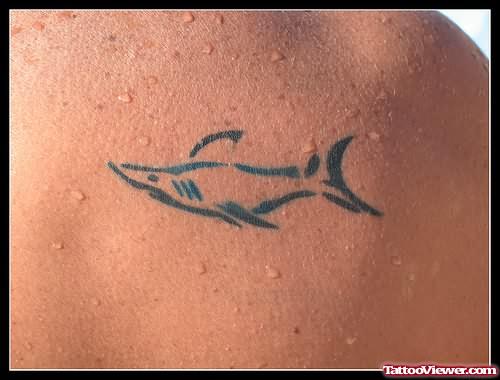 Tiny Shark Fish Tattoo On Back