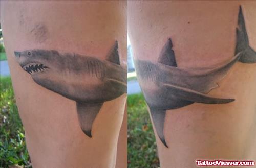 Large Shark Tattoo