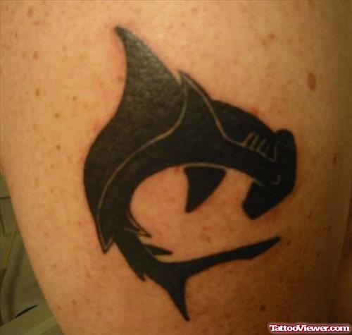 Hammer Head Black Shark Tattoo