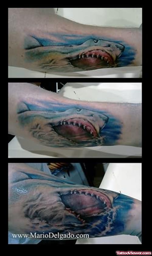 Extreme Shark Tattoos
