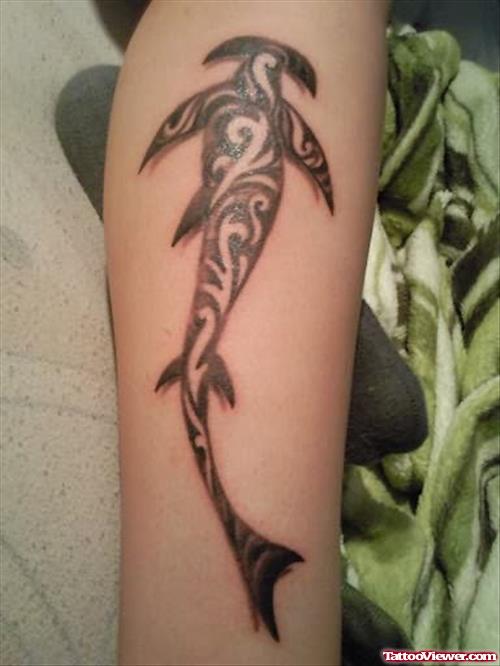 Arm Hammerhead Shark Tattoo
