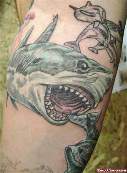 Angry Shark Tattoo Image