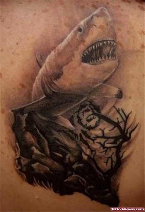 shark Tattoo Images & Designs - page #3