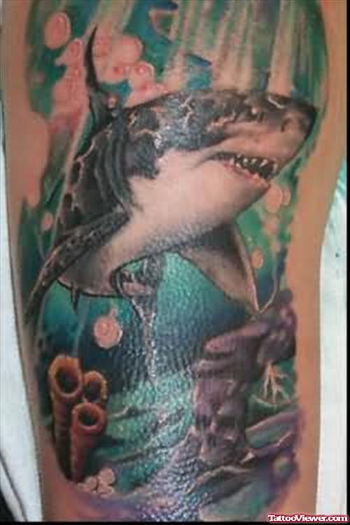 Shark In Sea World Tattoo