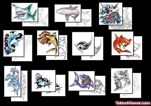 Shark Tattoo Latest Designs Collection