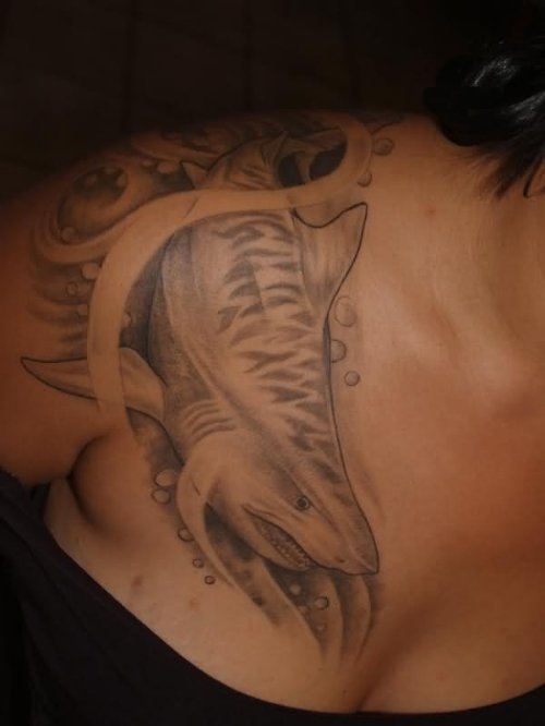 Tiger Shark Tattoo On Back